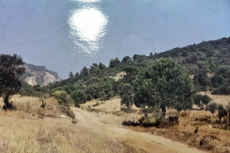 Realty photo 2