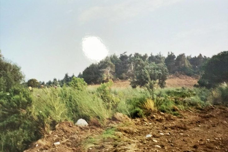 Realty photo 3