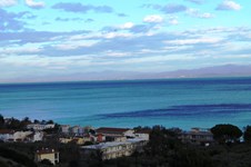 Property 242 photo 9