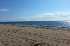 Property 2422 photo 6