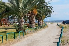 Property 2422 photo 7