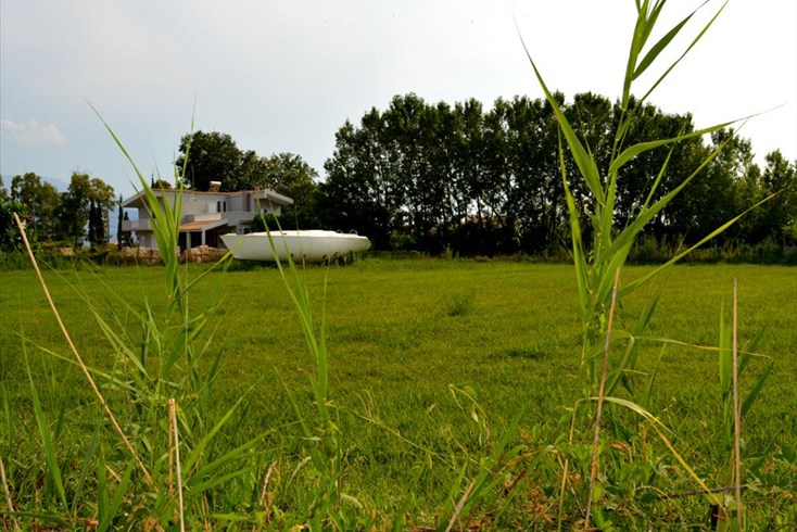 Realty photo 2