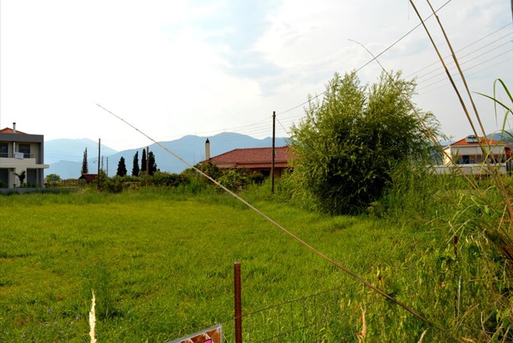 Realty photo 3