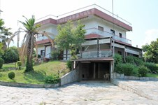 Property 24254 photo 1