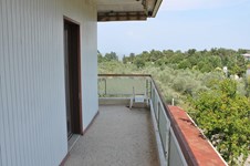 Property 24254 photo 16