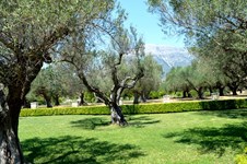 Property 24255 photo 19