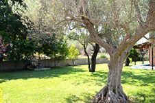 Property 24255 photo 20