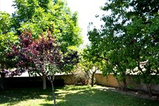 Property 24255 photo 21