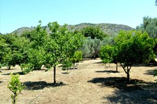 Property 24255 photo 24