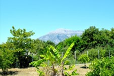 Property 24255 photo 25