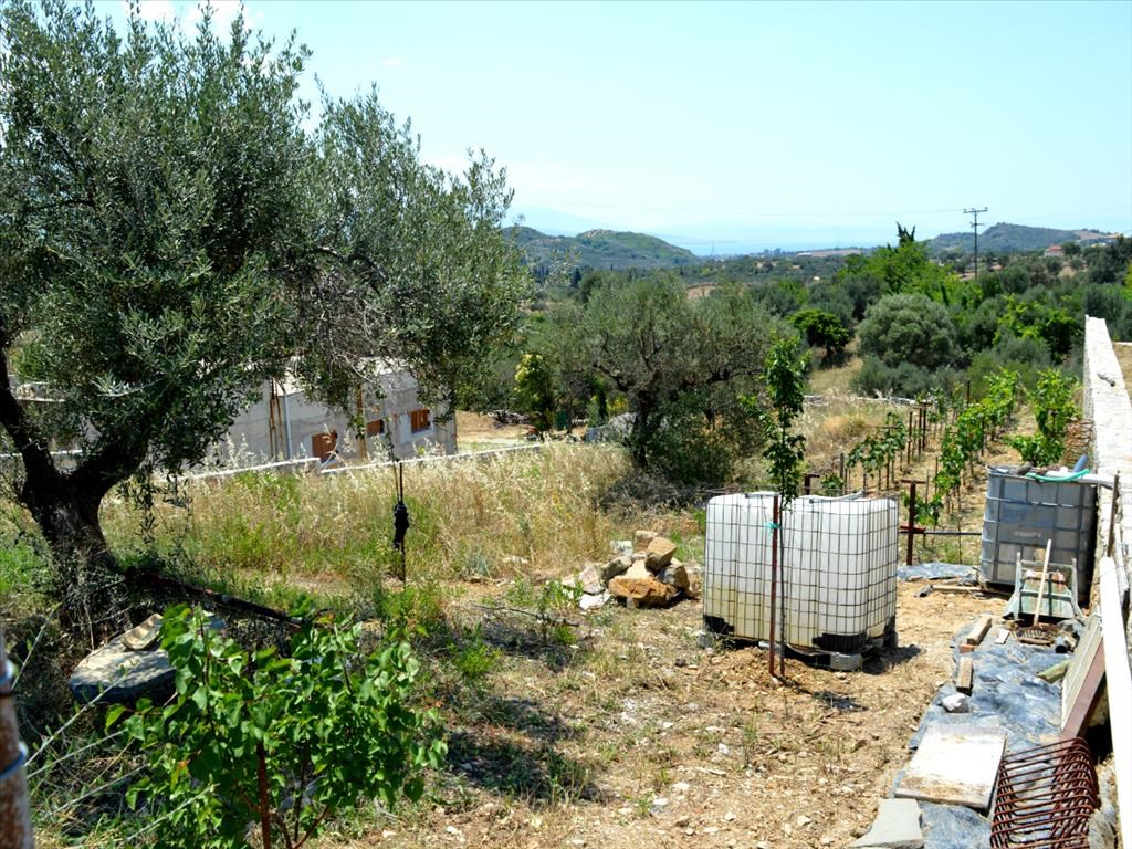 Купить земельный участок в греции элитная недвижимость во франции