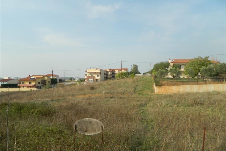 Realty photo 2
