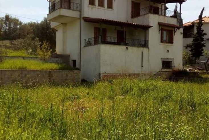 Realty photo 1