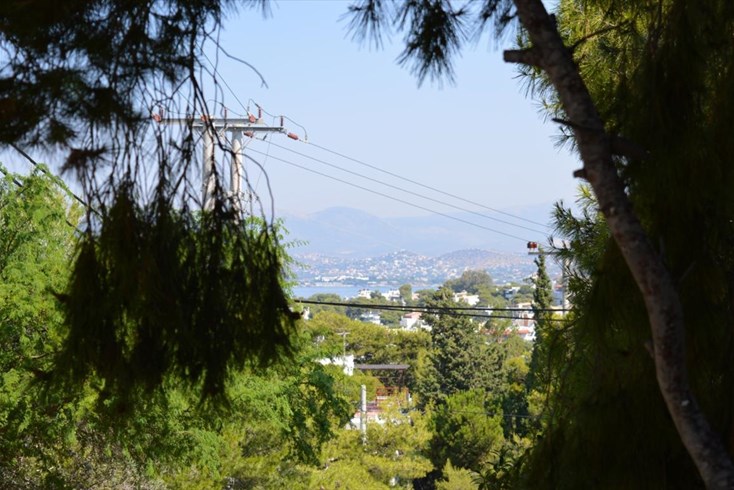 Realty photo 2
