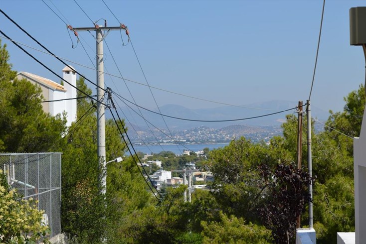 Realty photo 1