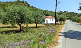 Land 2920 m² auf Athos (Chalkidiki)