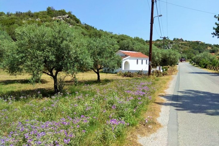 Realty photo 1