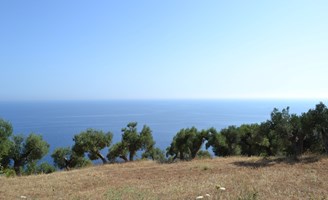 Land 2600 m² in Kassandra, Chalkidiki