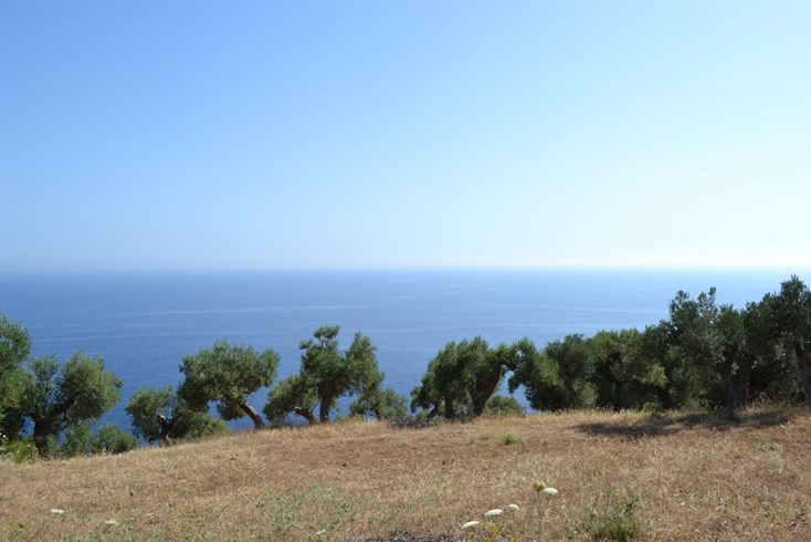 Realty photo 1