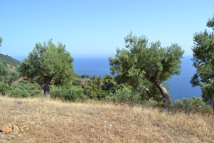 Realty photo 3