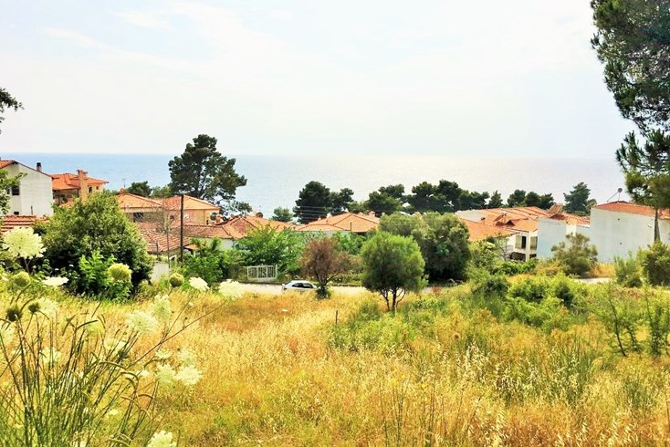 Realty photo 1