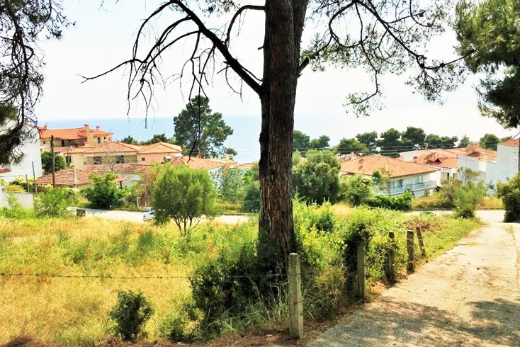 Realty photo 2