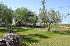 Property 24472 photo 13