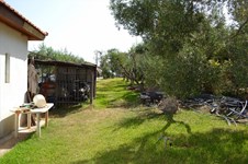 Property 24472 photo 18