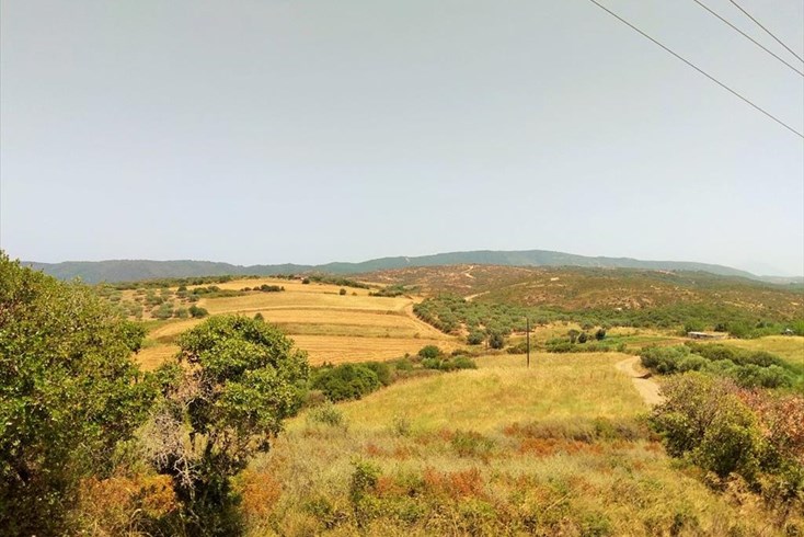 Realty photo 2
