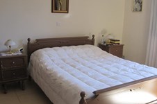Property 24500 photo 13