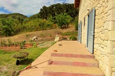 Property 24523 photo 4