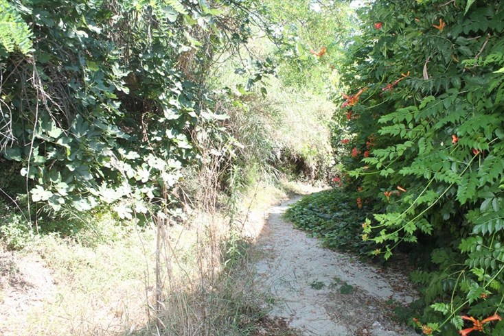 Realty photo 1
