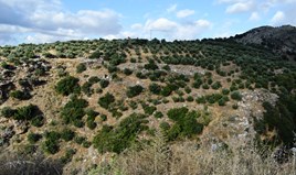 Земельна ділянка 43000 m² на Криті