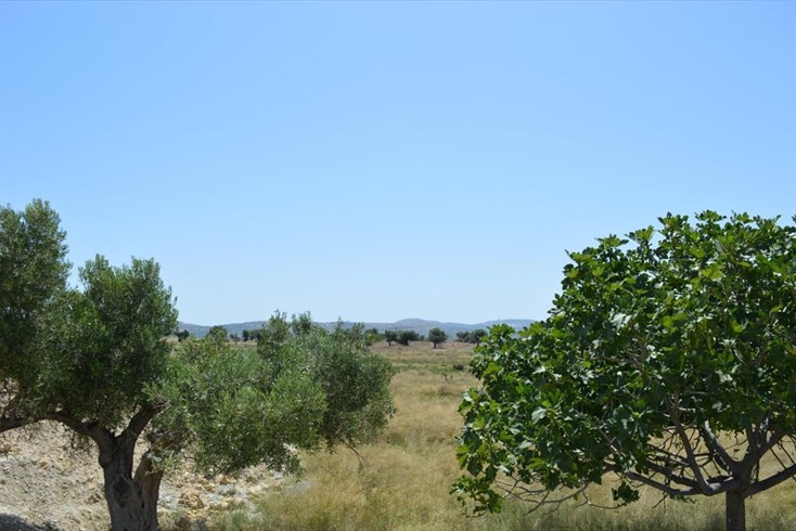 Realty photo 2