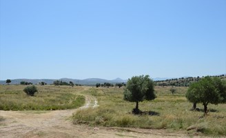 հողատարածք 1015 m² Ատտիկայում