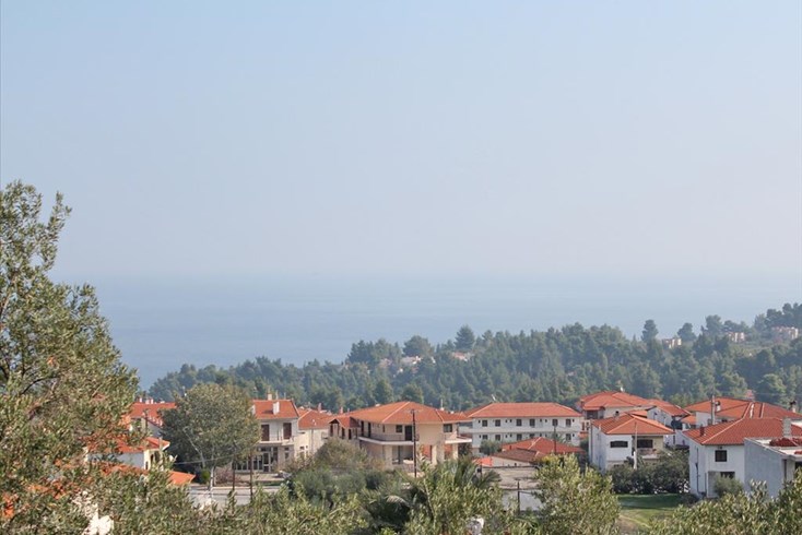 Realty photo 1