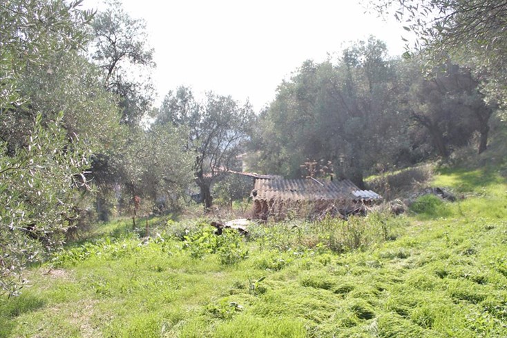 Realty photo 3