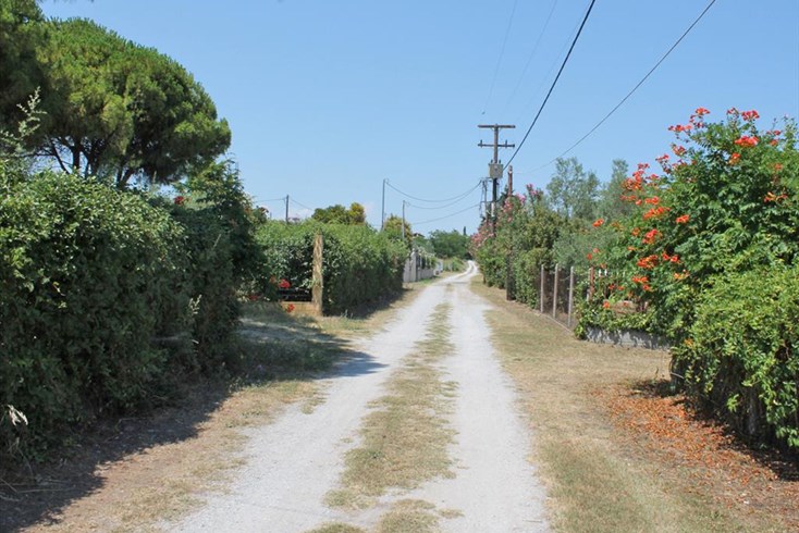 Realty photo 3