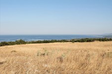 Property 24782 photo 1