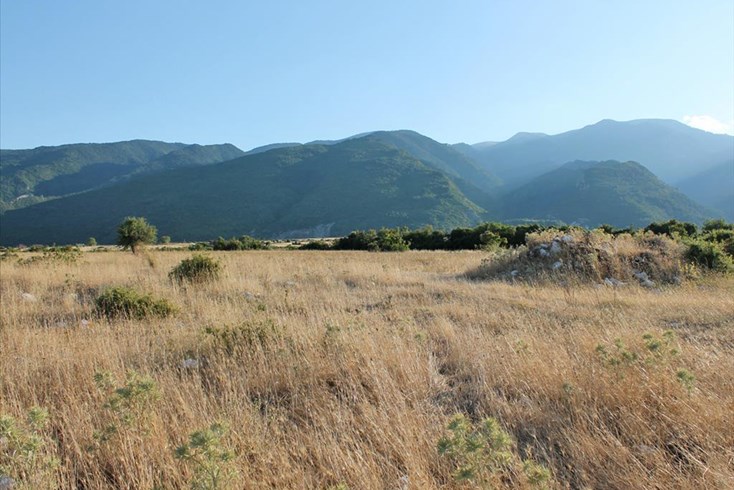 Realty photo 1