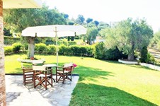 Property 24786 photo 24