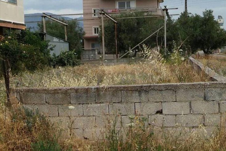 Realty photo 1