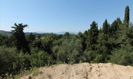 Land 5300 m² auf Korfu