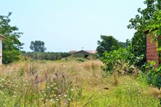 Property 24832 photo 1