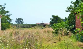Land 5000 m² in Chalkidiki