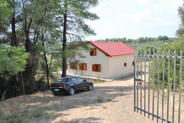Realty photo 1