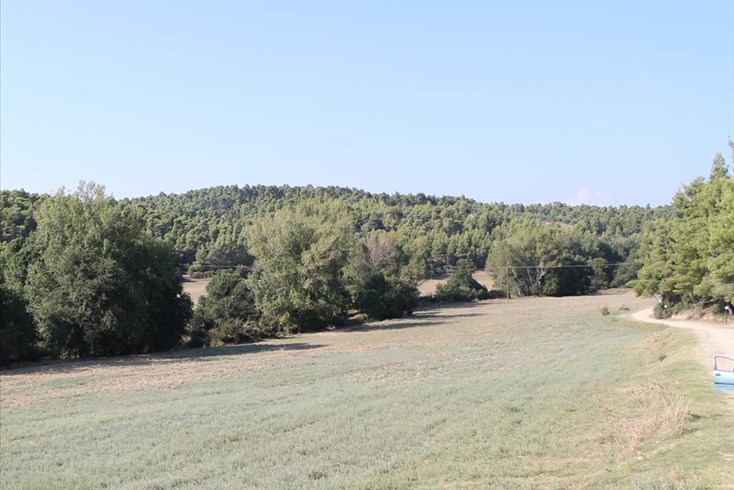Realty photo 3