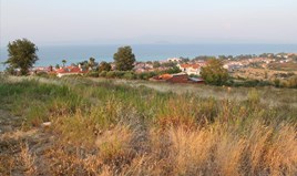 Land 20500 m² in Kassandra, Chalkidiki