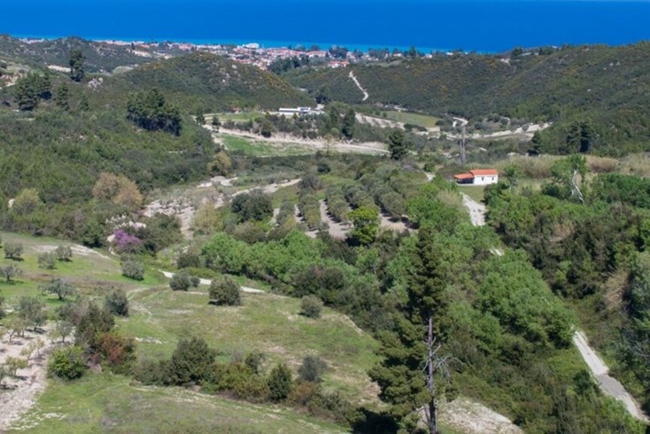 Realty photo 1