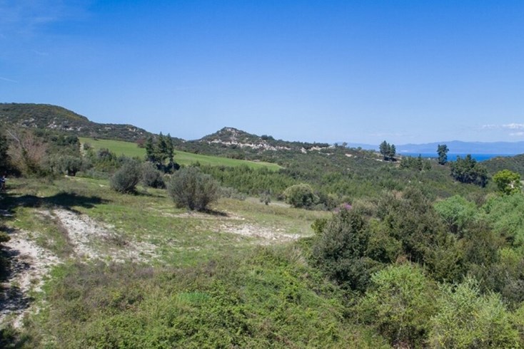 Realty photo 2
